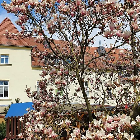 Rittergut Dornreichenbach