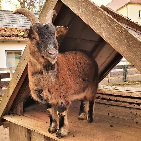 Lejlighed Rittergut Dornreichenbach