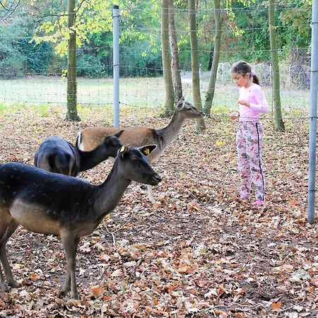 Lejlighed Rittergut *